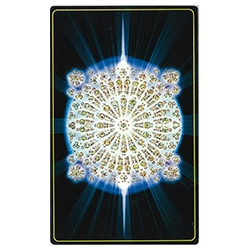 タロー・デ・パリ』（改定新版）（専用日本語解説書付き） 商品詳細