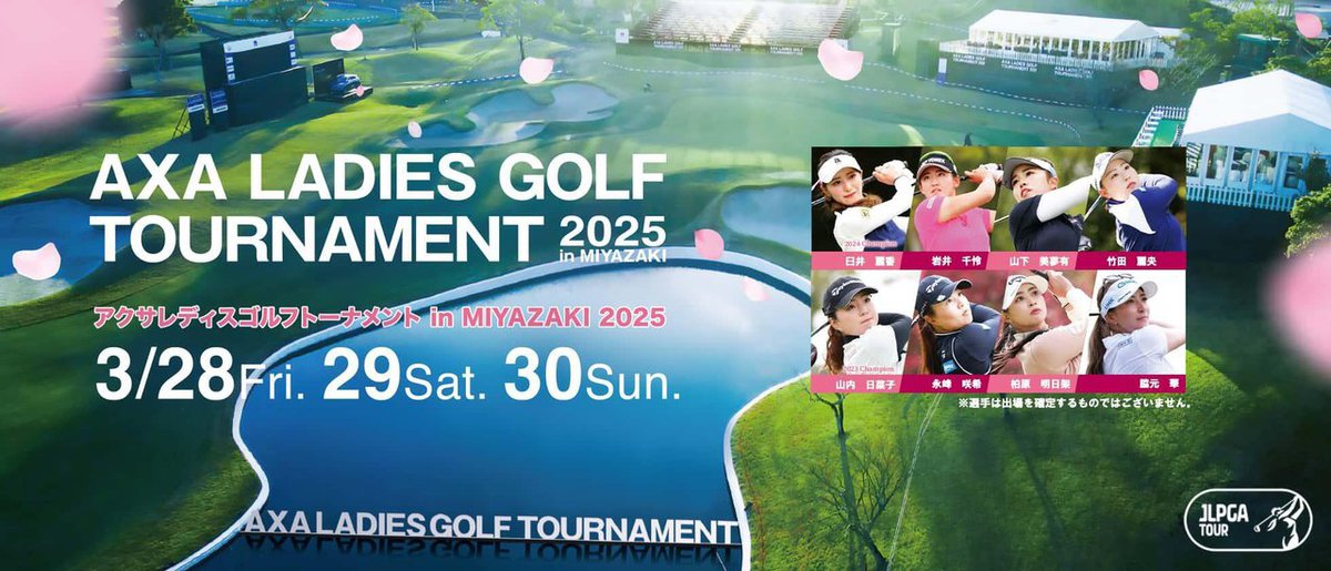 89ba8786fd6325d812872e5f8e60d4