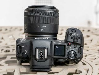 Canon RF 24mm F1.8 MACRO IS STM Review | Photography Blog