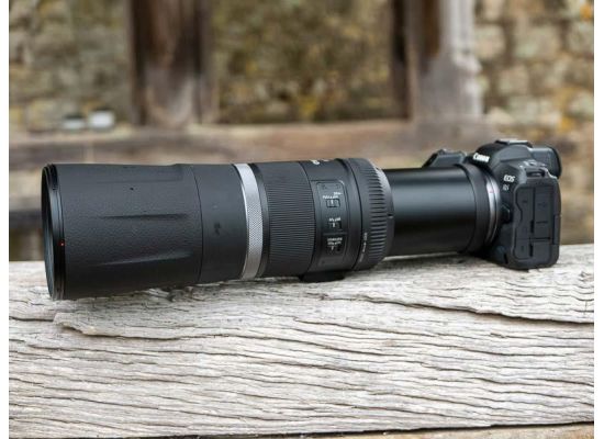 Canon RF 800mm F11 IS STM Review | Photography Blog