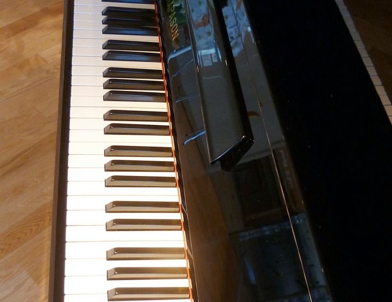 株式会社ピアノプラザ | DIAPASON D-25B(112)