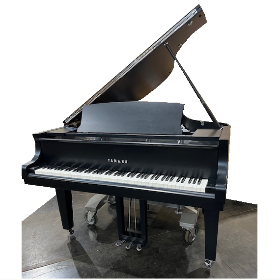 株式会社ピアノプラザ | YAMAHA Z1B(6161)