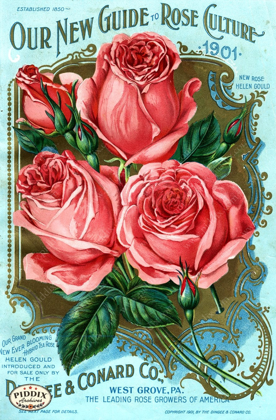 PDXC1511 -- Vintage Rose Culture Catalogs - piddix
