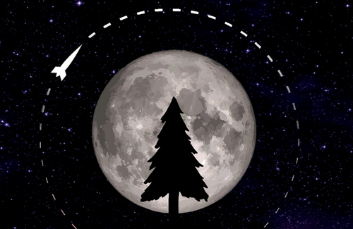 Seeds in Outer Space! Moon Trees LIVE - April 2023 - Project