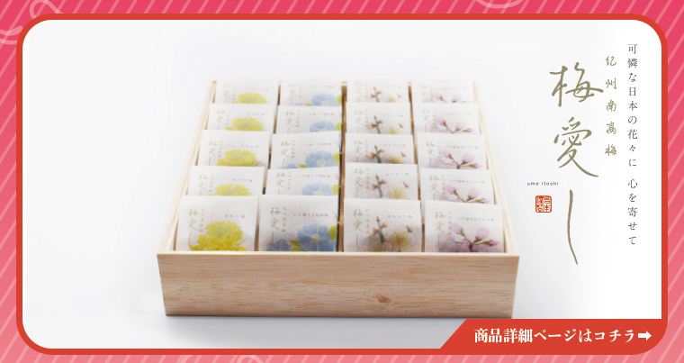 テレビ東京「世界行きたい人応援団」に紹介された梅 南高梅・はちみつ