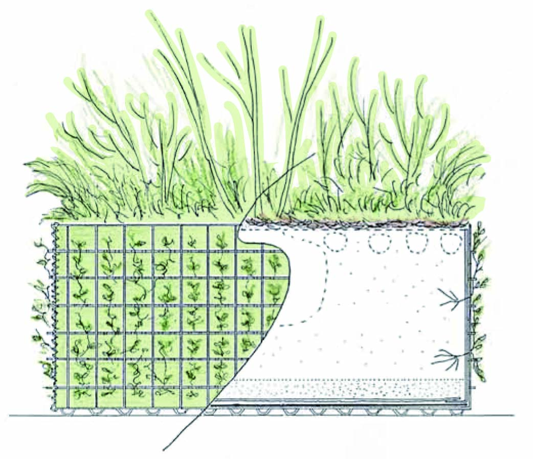 5×緑 日本の在来植物を使った都市緑化システム｜エクステリア／造園