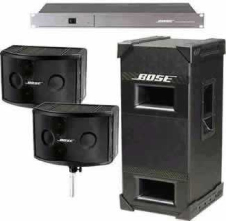 Bose 802 Gold Speaker System