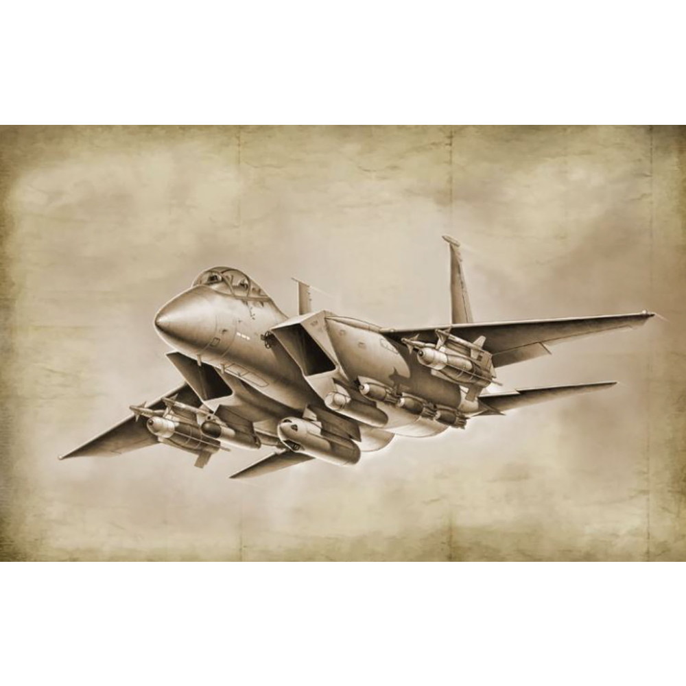 プラモデル :: 飛行機 :: アメリカ空軍 F-15E ストライク イーグル