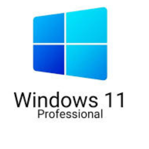 Microsoft Windows 11 Pro Professional For 64 Bit Processor