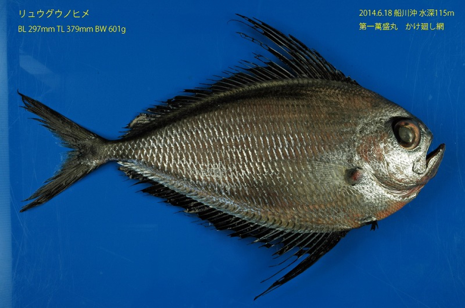 a577ec5987c4aacf9c7d33d43fbed7