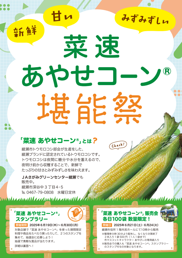 菜速 あやせコーン® - 神奈川県ホームページ