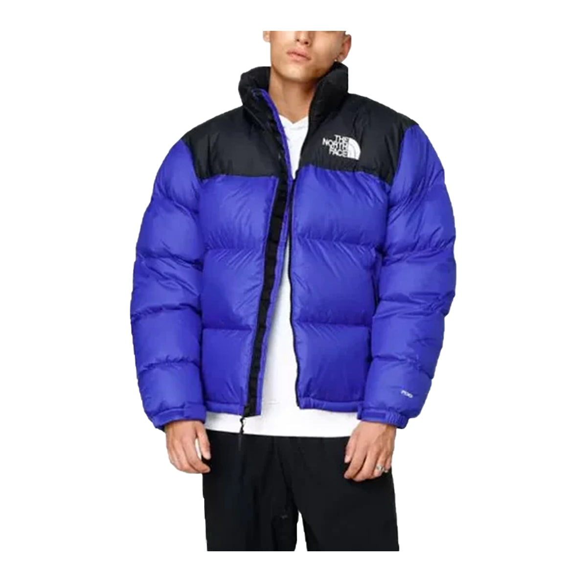 The North Face Mens 1996 Retro Nuptse Jacket NF0A3C8D-CZ6 Blue