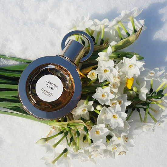 Narcisse Blanc / ナルシスブラン