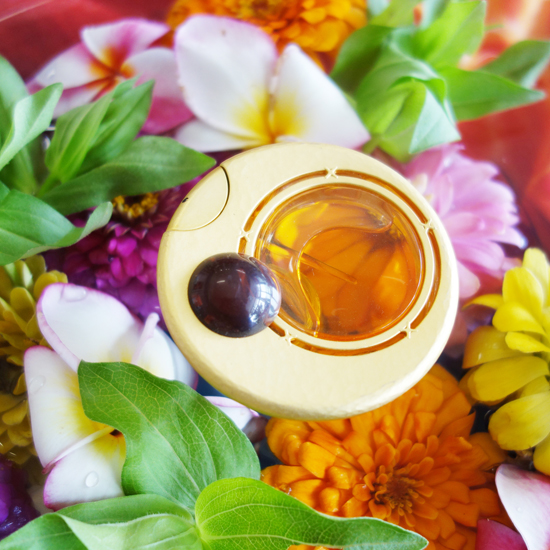 Mahora (Mayotte) / マホラ (マイヨット)