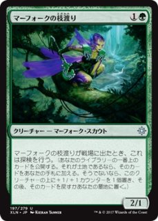 特価※【PLS】※Foil※《北極マーフォーク/Arctic Merfolk》【C