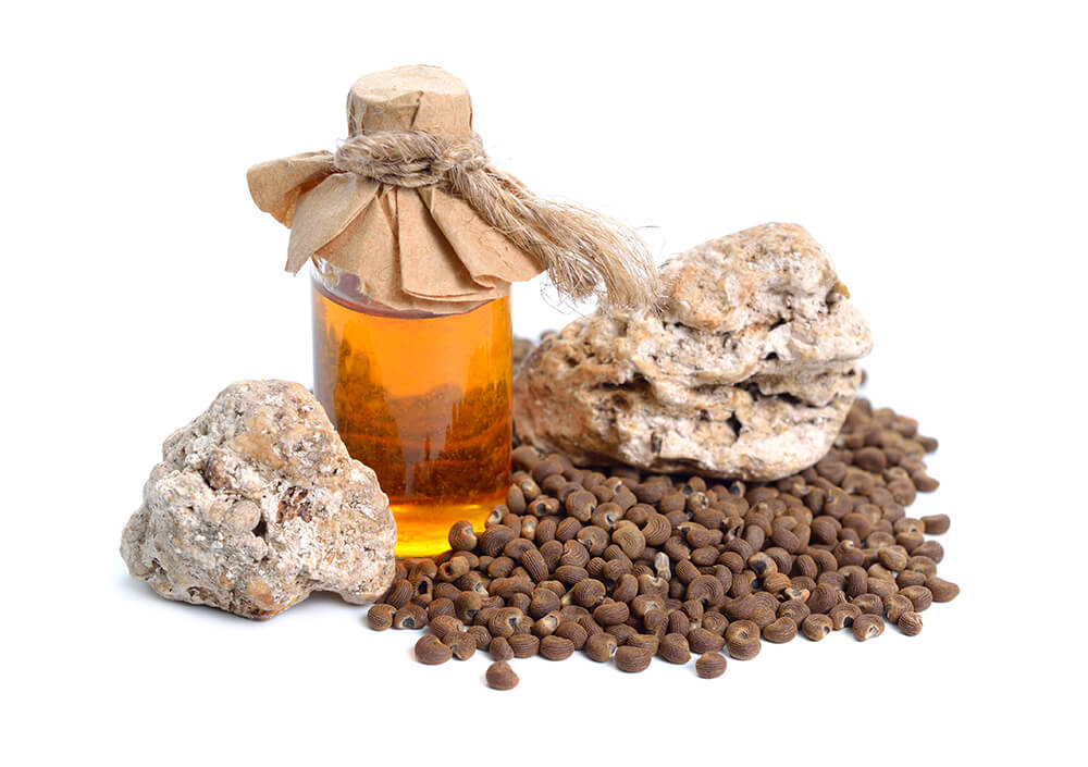 ひとつなぎの大秘宝？ 龍涎香(アンバーグリス) | プロモツール株式会社