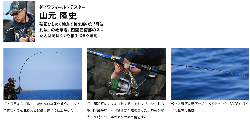 磯/磯釣り/磯ロッド（ダイワ）/○2017 メガディス AGS