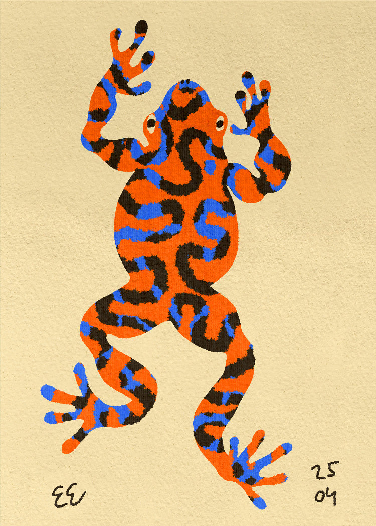 Enikő Eged - Magic Frog | PSTR studio