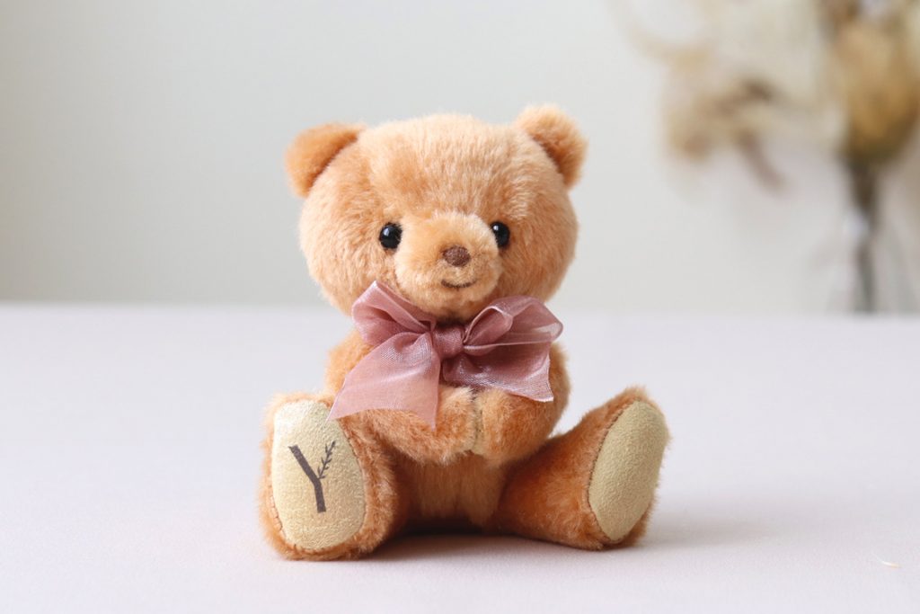 激レア 希少 ビルドアベア 日本限定 池袋店限定 東京テディ クマ