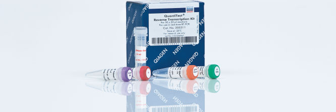 QuantiTect Reverse Transcription Kit