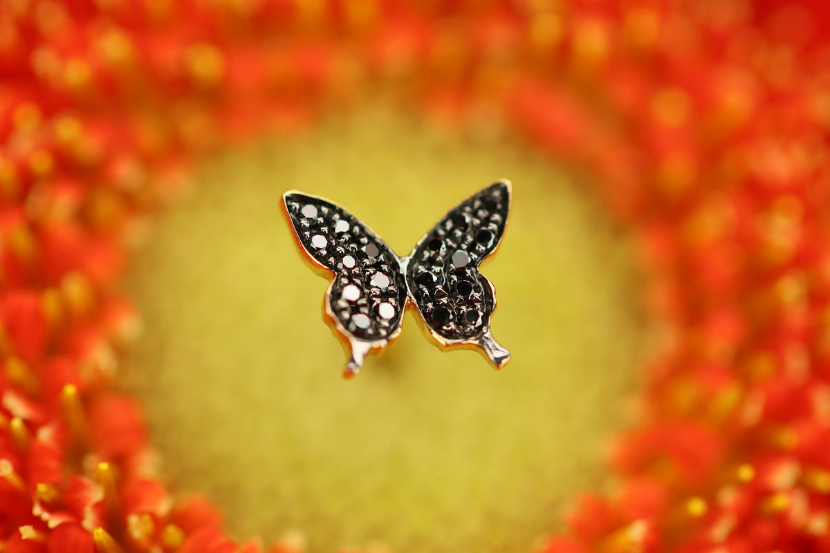 Ulysses S – quarantotto