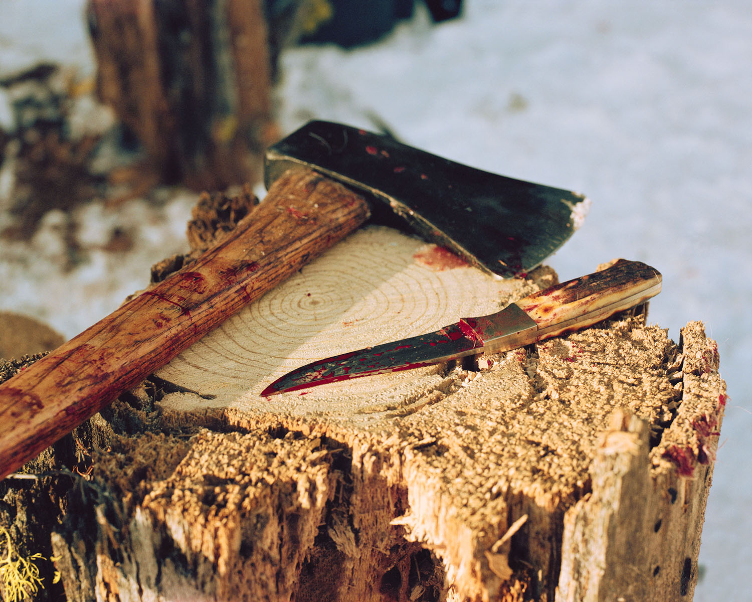 Robert Morat Galerie | Ron Jude | Lick Creek Line