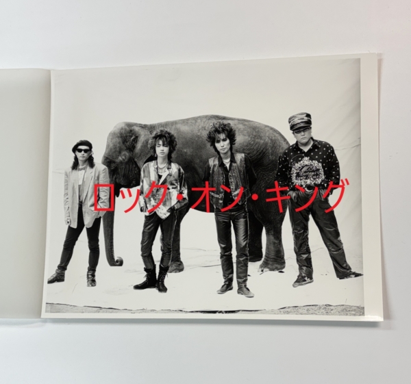 ストリートスライダーズ | 音楽資料専門店 ロック オン キング