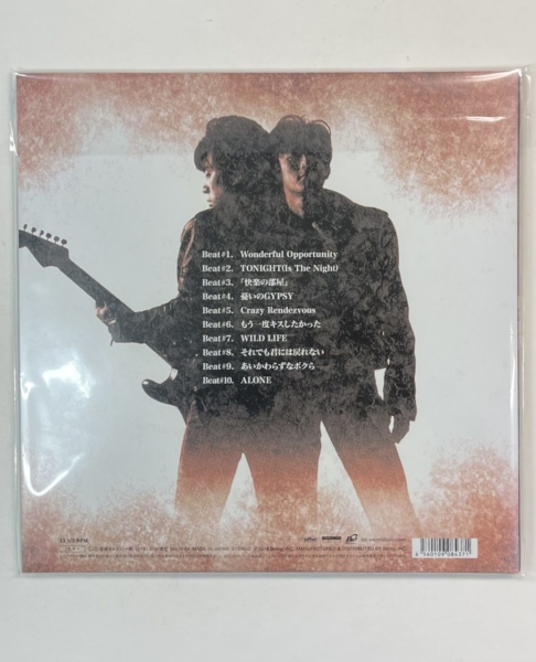 B'z 限定レコード IN THE LIFE 30th Year Exhibition SCENES | 音楽