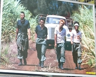 the blue hearts train train ポスター | 音楽資料専門店 ロック オン