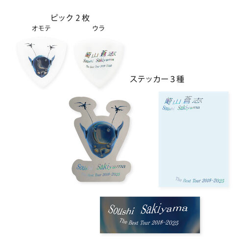 SALE]The Best Tour 2018-2025 ピックステッカーセット | ソニー