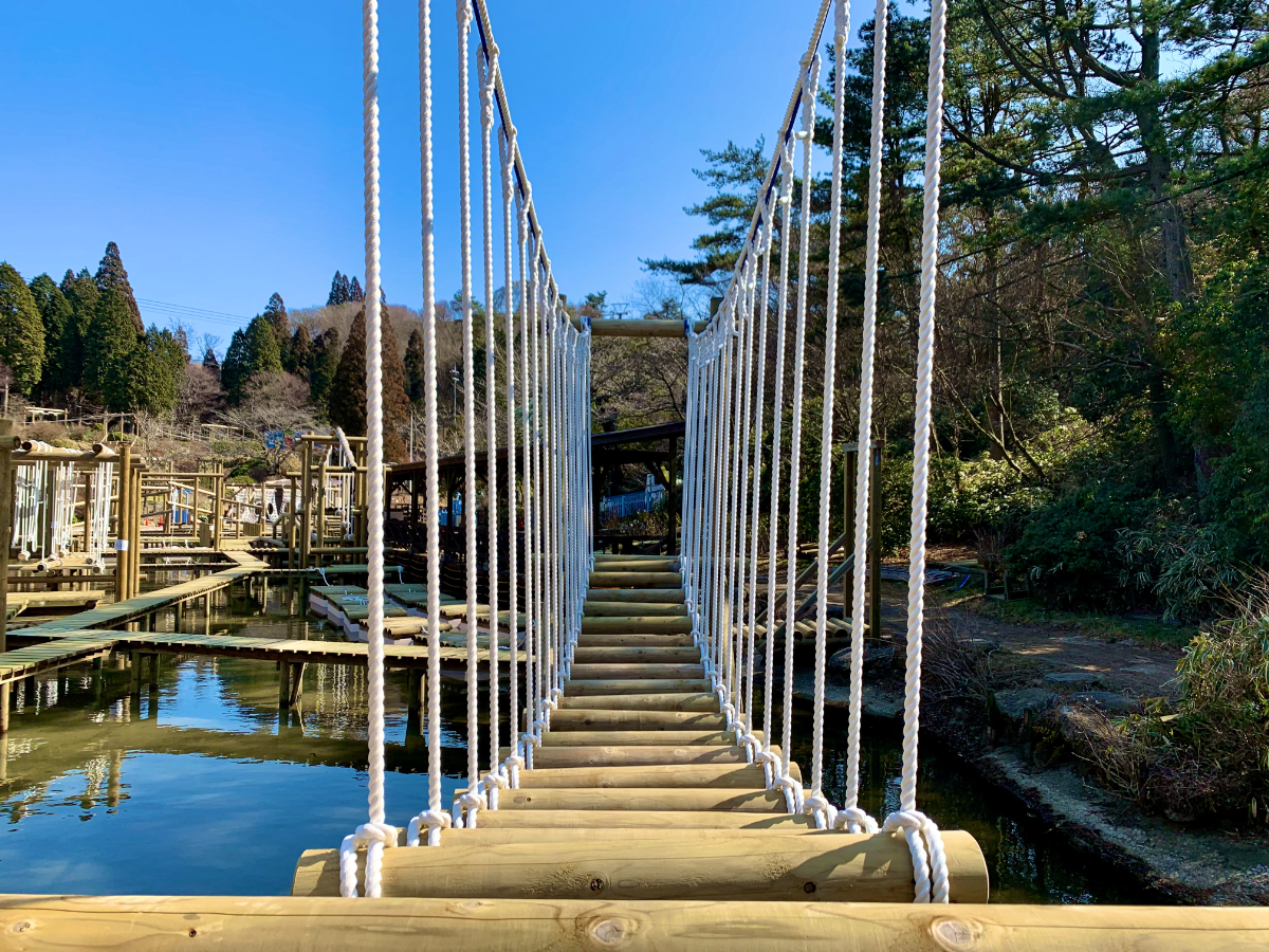 ①シンプルパーチ細め 2本 ②吊り橋ウルトラロング 2個 ③壁