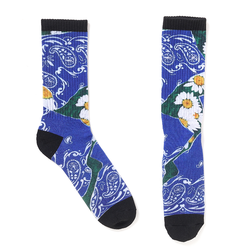 CHALLENGER DAISY SOCKS CLG-AC 025-047 公式通販