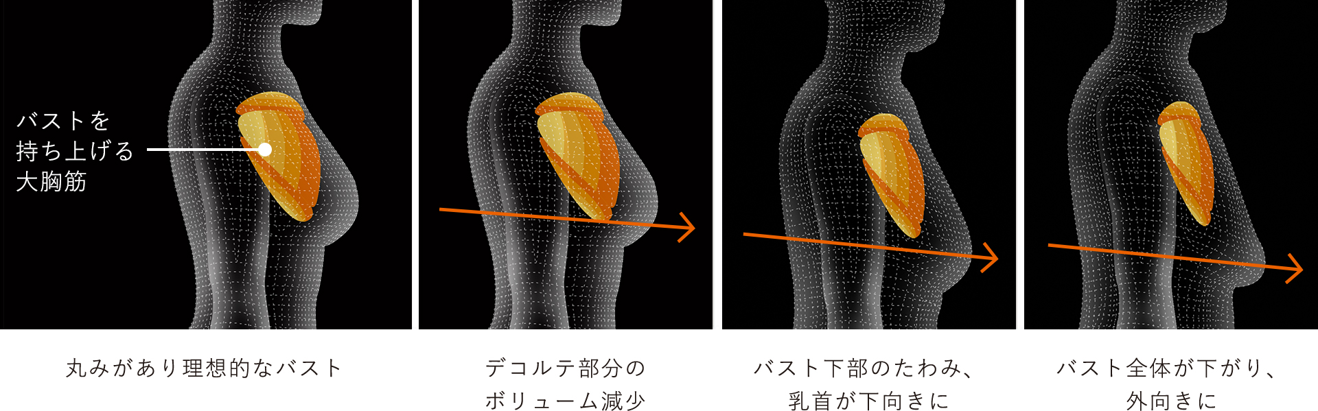 身につけて使うたび、美しいシルエットに導く。 Chest Fit | SIXPAD