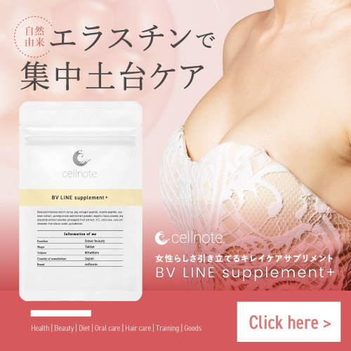 セルノートアイテム