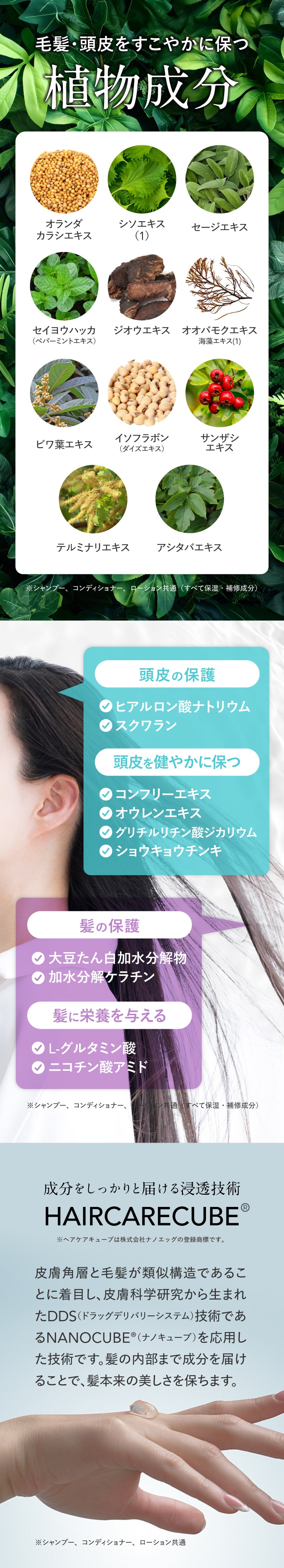 楽天市場】ハーグ ( HARG ) 薬用HGドクターズヘアケアシリーズ HG MD