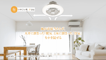 楽天市場】＼ポイント10倍／【公式通販】CIRCULIGHT サーキュライト