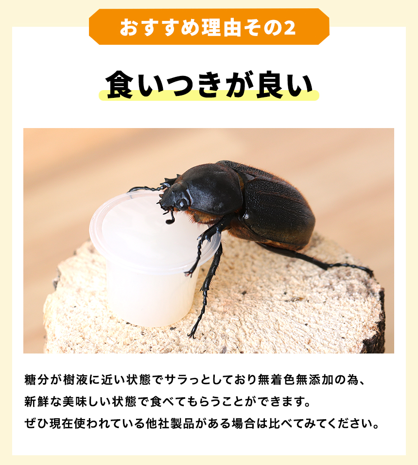 国産プロゼリー1500個KBファームカブトムシ クワガタinsect jelly 楽天