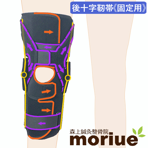 楽天市場】【後十字靭帯】《固定用》膝サポーター｜エクスエイドニー