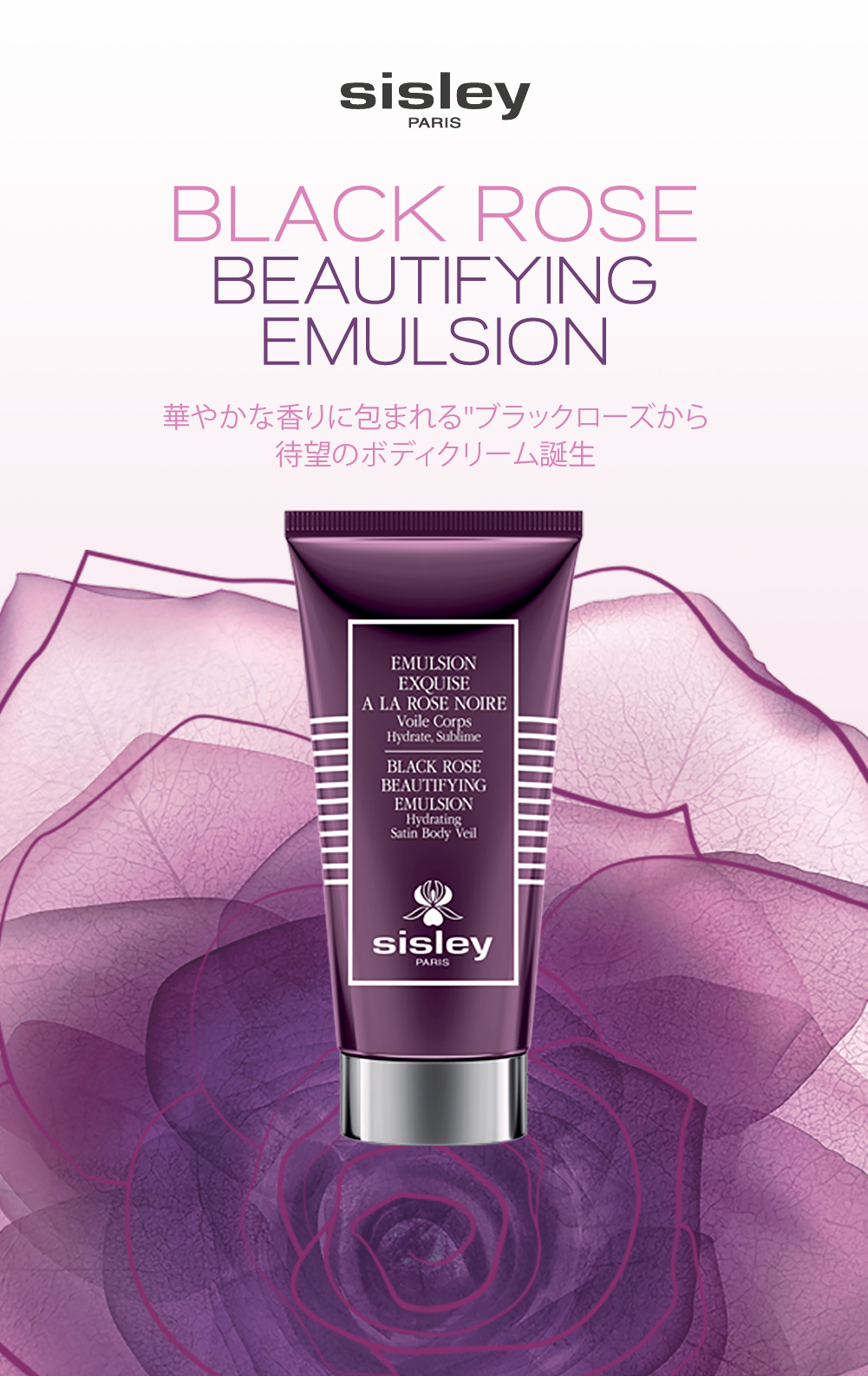 楽天市場】【公式】 シスレー ブラックローズ ビューティファイング