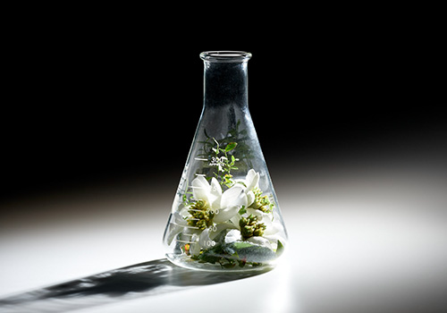 Re:CODE（リコード）公式サイト ワクチナイザーX