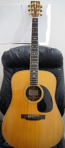 Rider ライダー R1000 林楽器 フラッグシップモデル Headway