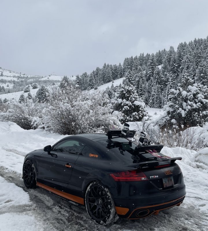 シーサッカー クラシック スキーラック SeaSucker