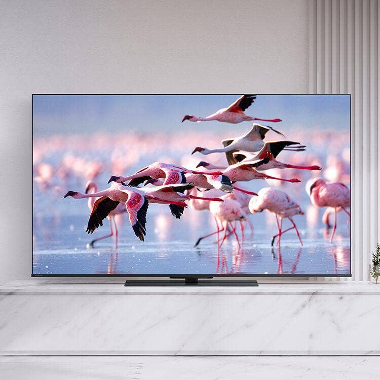 REGZA 55V Z670K 4K液晶テレビ下部に少し焼き付き有り Z670K 商品詳細｜REGZA<レグザ>