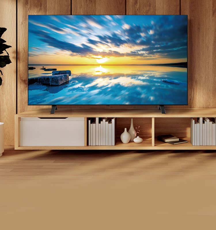 最終価格！【新品】【送料無料】東芝 REGZA E350M 50V型 TOSHIBA（東芝） TVS REGZA 液晶テレビ REGZA レグザ E350Mシリーズ