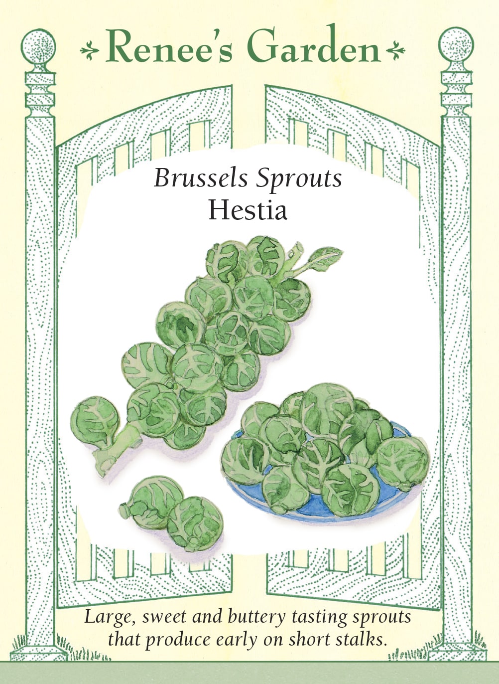 Hestia' Brussels Sprouts – Renee's Garden
