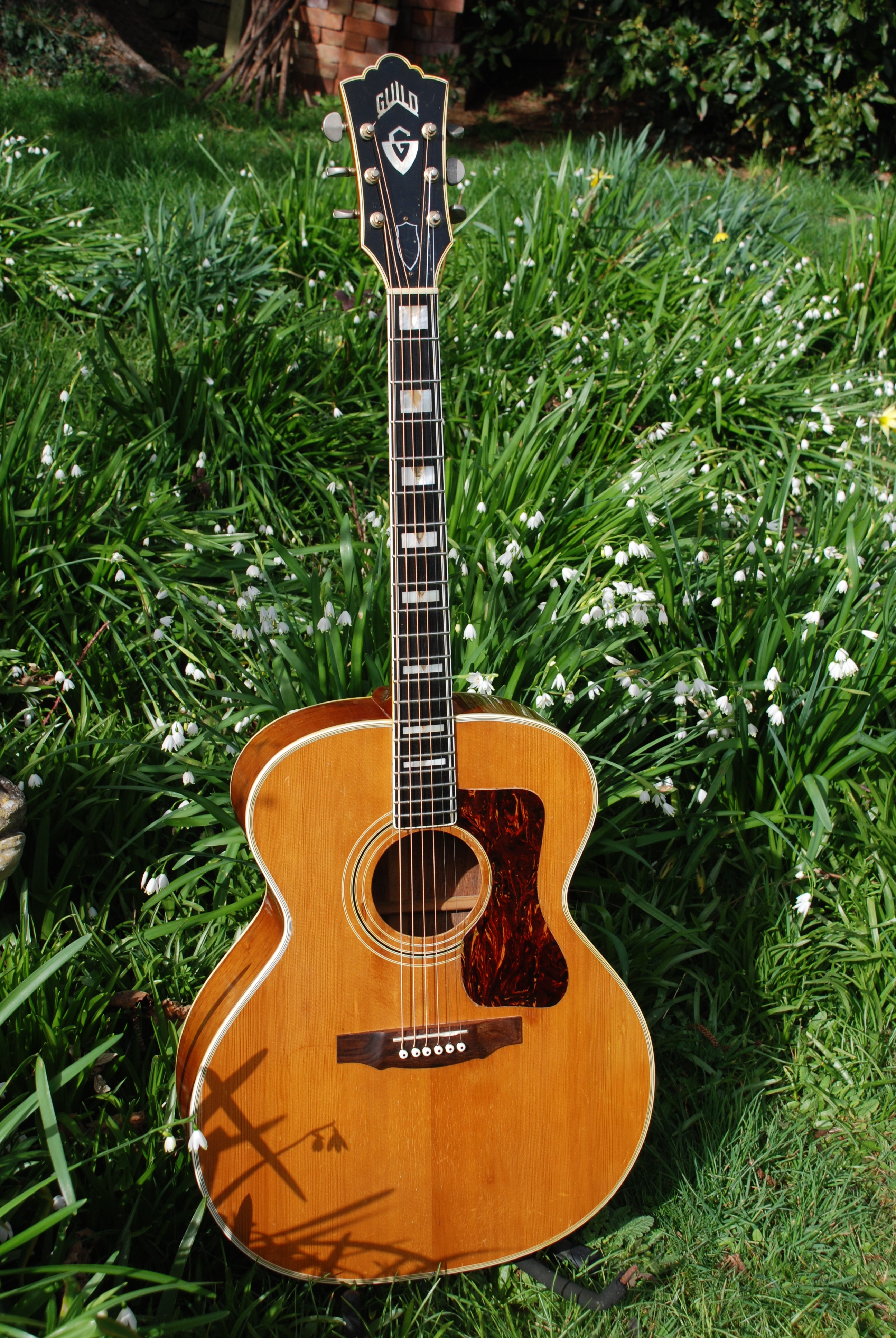 1970 Guild F 50 Brazilian | Guild Vintage Guitars