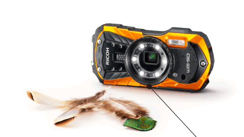 特長1 / WG-50 / デジタルカメラ / 製品 | RICOH IMAGING