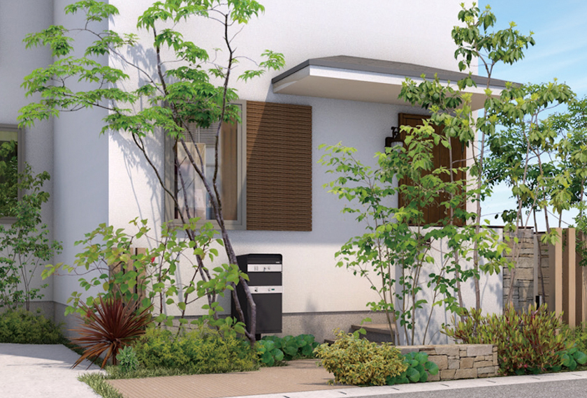 美しい樹形が魅力的 山採り ハイノキ 株立 623 樹高1.8m位 高級樹