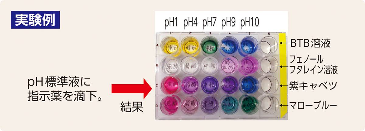 水溶液の性質実験セット（マイクロスケール） M－pH【りかなび