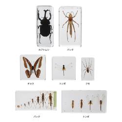 11560393_250.jpg?1690446038